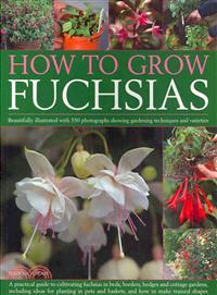 How to Grow Fuchsias