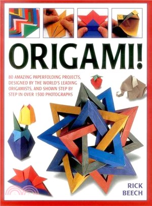 Origami! ― 80 Amazing Paperfolding Projects, Designed by the World's Leading Origamists, and Shown Step by Step in over 1500 Photographs