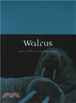 Walrus