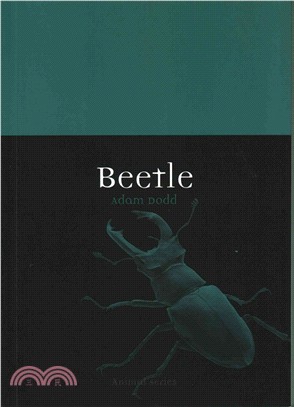 Beetle /