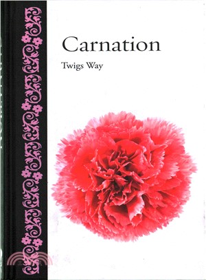 Carnation