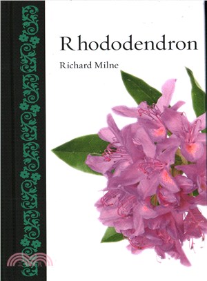 Rhododendron