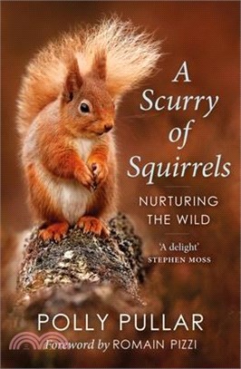 A Scurry of Squirrels: Nurturing the Wild