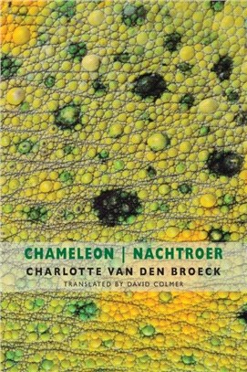Chameleon | Nachtroer