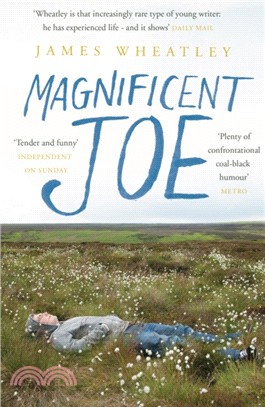 Magnificent Joe