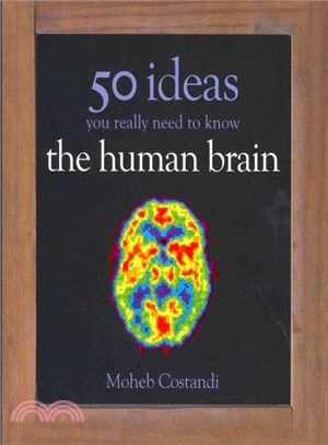50 Human Brain Ideas You Really Need To Know