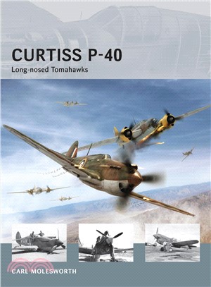 Curtiss P-40 ─ Long-Nosed Tomahawks