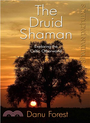 The Druid Shaman ─ Exploring the Celtic Otherworld
