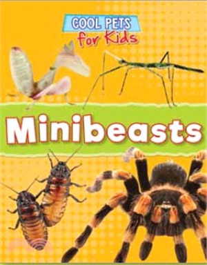Cool Pets: Minibeasts