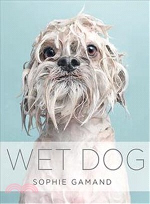 Wet Dog