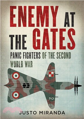 Enemy at the Gates：Panic Fighters of the Second World War