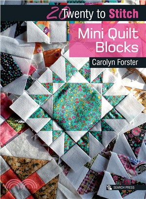 20 to Stitch ― Mini Quilt Blocks