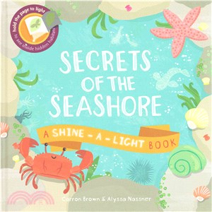 Secrets of the Seashore (透光書2)(精裝本)
