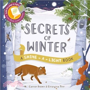 Secrets of winter /