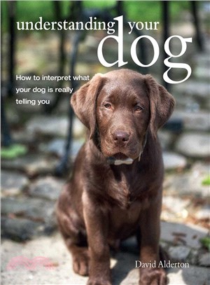 Understanding Your Dog ─ How to Interpret What Your Dog Is Really Telling You