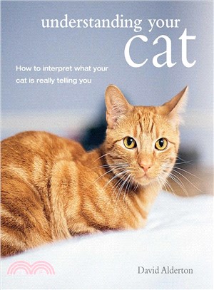 Understanding Your Cat ─ How to Interpret What Your Cat Is Really Telling You