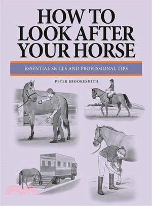 How to Look After Your Horse ― Essential Skills and Professional Tips