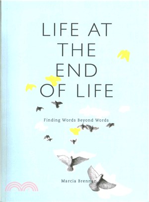 Life at the End of Life ─ Finding Words Beyond Words