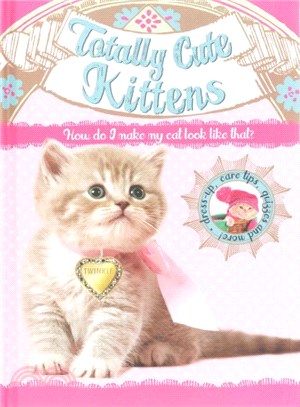 Totally Cute Kittens ― How Do I Make My Cat Look Like That?