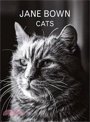 Jane Bown: Cats