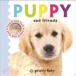 Puppy and Friends Touch and Feel (觸摸硬頁書)