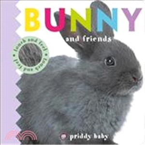 Bunny and Friends Touch and Feel (觸摸硬頁書)