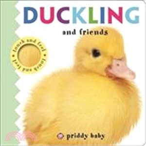 Duckling and Friends Touch and Feel (觸摸硬頁書)