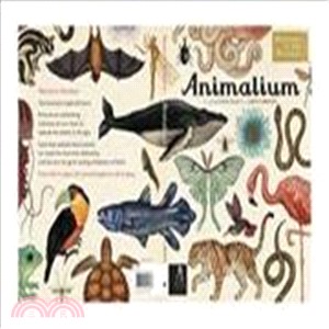 Animalium /