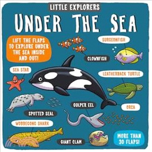 Little Explorers Under the Sea | 拾書所
