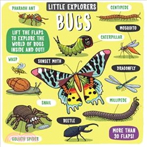 Little Explorers Bugs | 拾書所