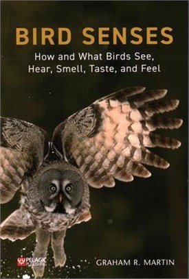 Bird Senses ― How What Birds See, Hear