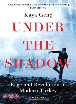Under the Shadow ─ Rage and Revolution in Modern Turkey