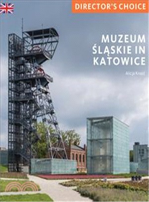 Muzeum Slaskie in Katowice: Director's Choice