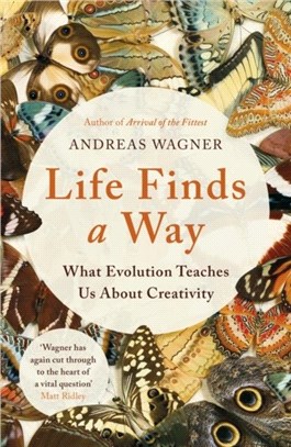 Life Finds a Way：What Evolution Teaches Us About Creativity