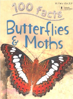 Butterflies & moths /