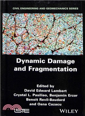 Dynamic Damage And Fragmentation
