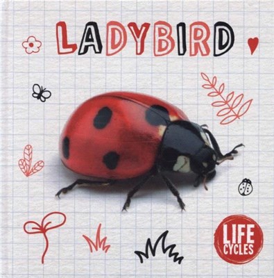 Ladybird