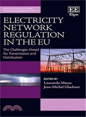 Electricity Network Regulation in the Eu ― The Challenges Ahead? for Transmission and Distribution