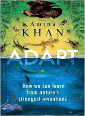 Adapt :how we can learn from...