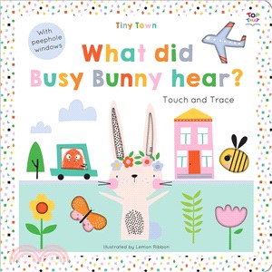 Tiny Town What Did Busy Bunny Hear?