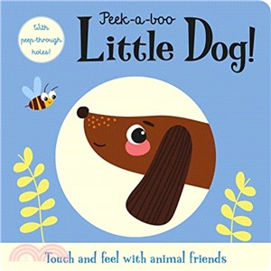 Peek-a-boo Little Dog! (硬頁遊戲書)