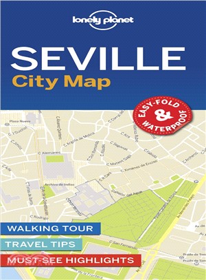 Seville City Map 1