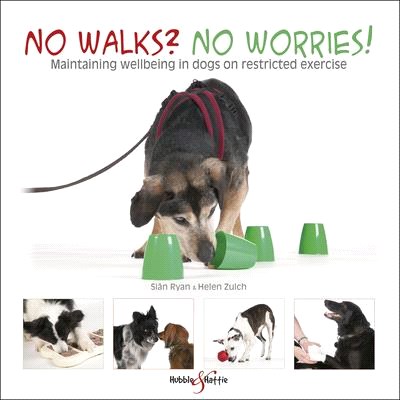 No Walks? No Worries! ― Maintaining Wellbeing in Dogs on Restricted Exercise
