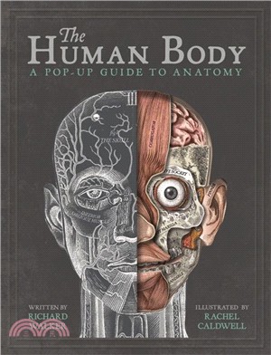The human body :a pop-up guide to anatomy /