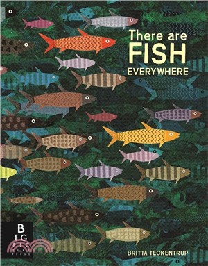 There are fish everywhere /