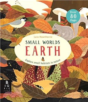 Small Worlds: Earth (硬頁操作書)(Over 80 Flaps)