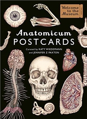 Anatomicum Postcard Box (50 Cards)