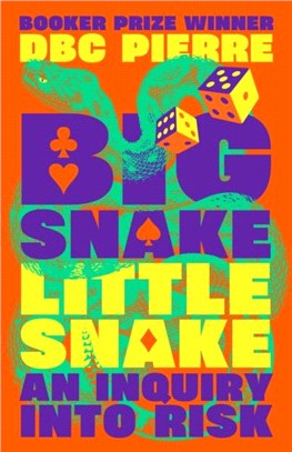 Big Snake Little Snake：An Inquiry into Risk