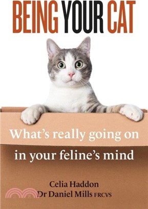 Being Your Cat: What's Really Going on in Your Feline's Mind