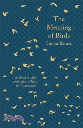 The Meaning of Birds